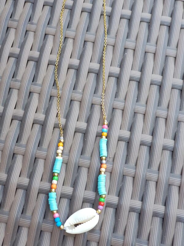 beach shell stainless steel